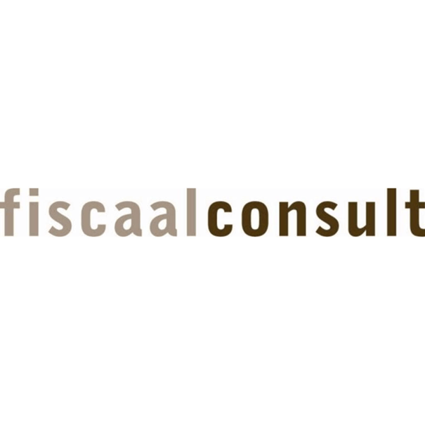 Fiscaal consult
